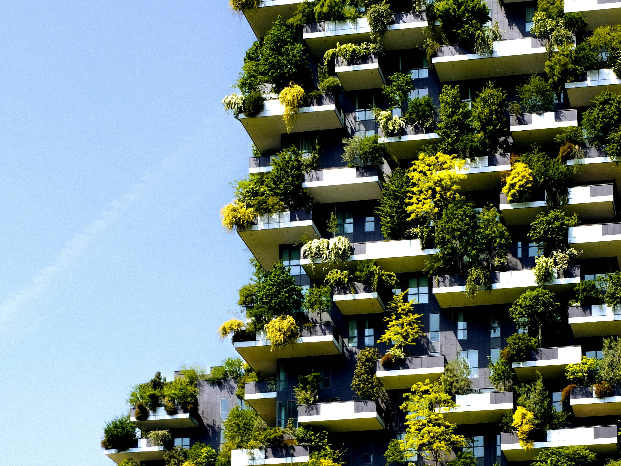 Green Architecture