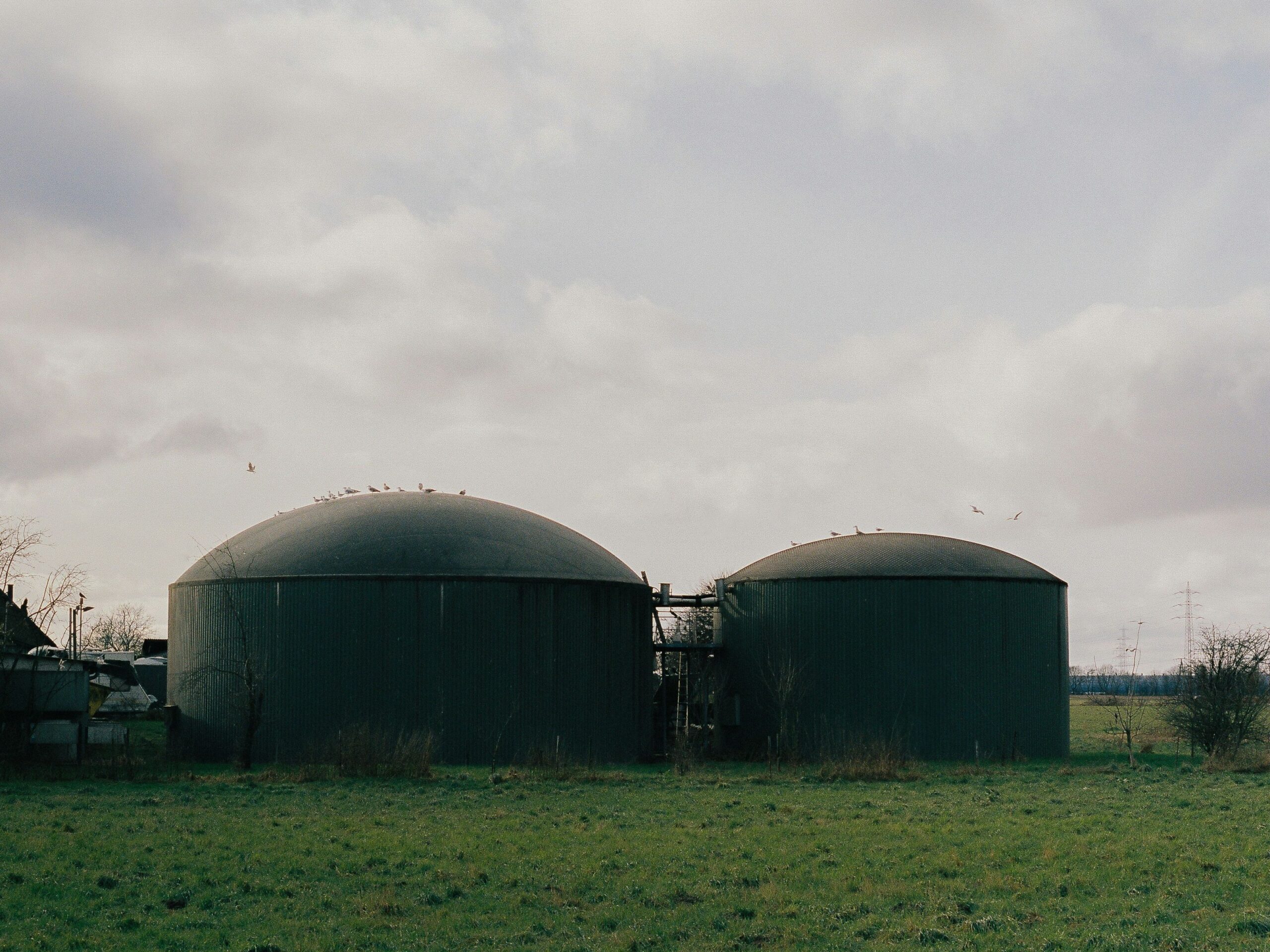 The benefits of biogas from organic waste for bioenergy - buzzoi