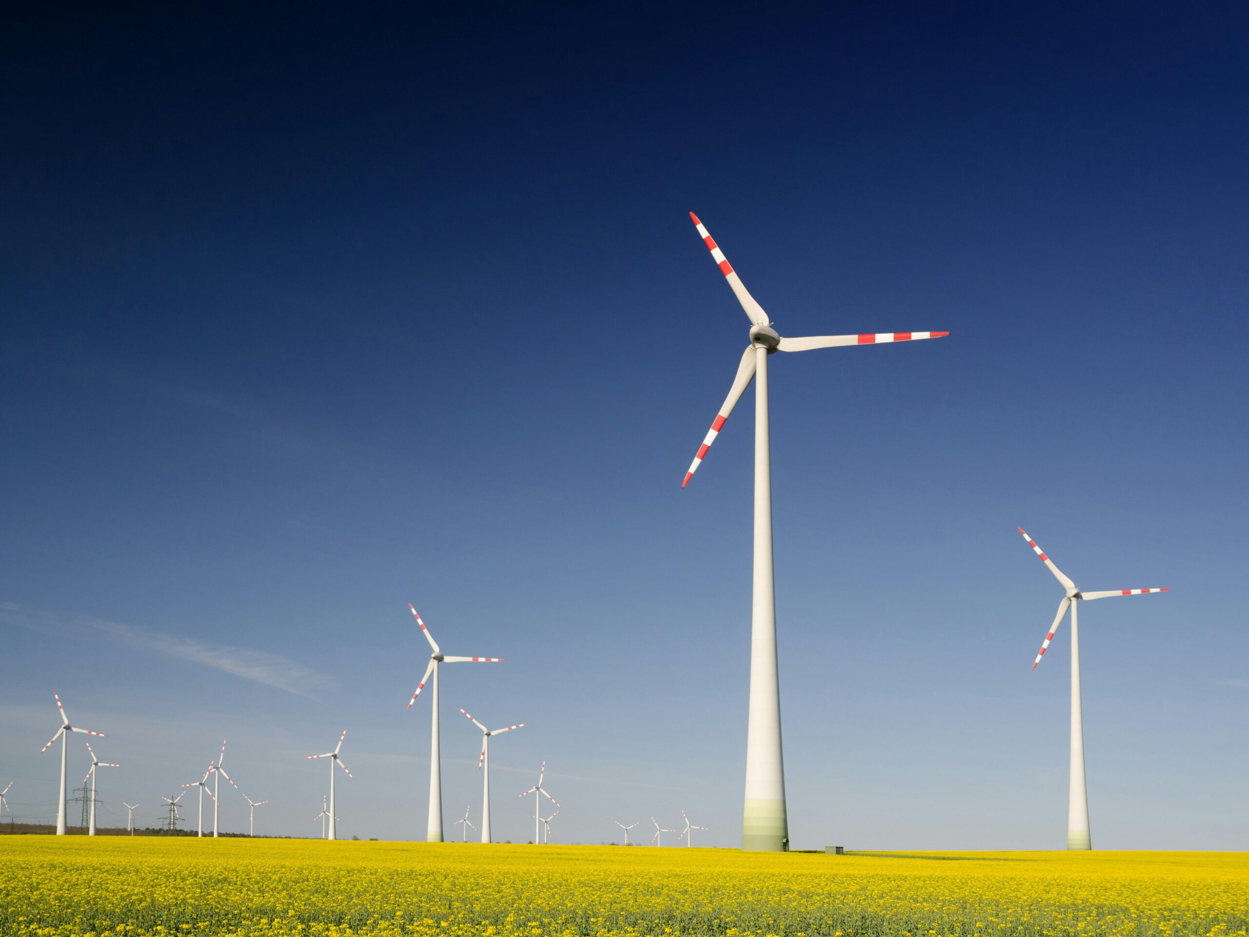 Wind energy and future wind turbines - Buzzoi