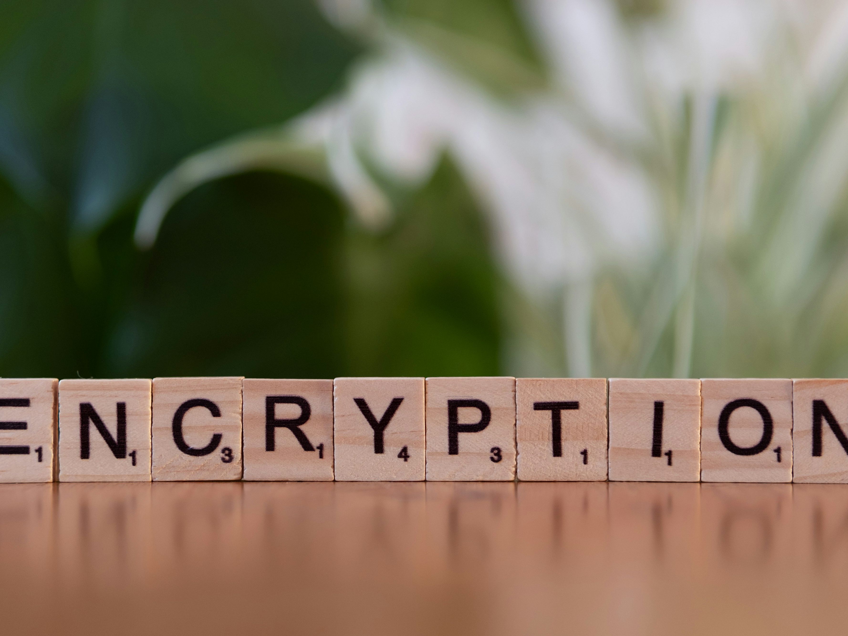 Why is SSL mandatory for business websites and online stores